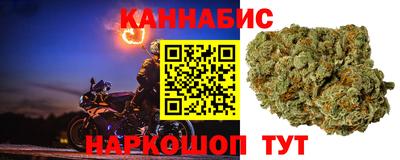 эйфоретик Кингисепп