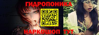 jwh Кимры