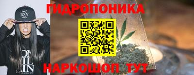 jwh Кимры